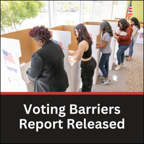 Voting Barriers Report Released. Line of people voting in their private voting booths
										